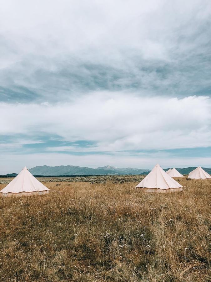 Wander Camp Yellowstone Island Park Eksteriør bilde